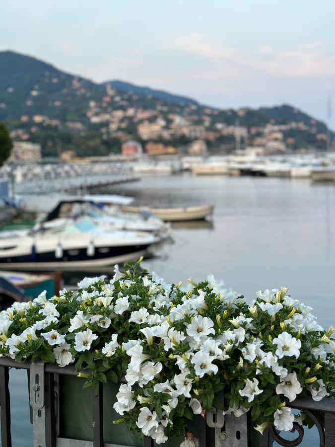 Town Flat Rapallo - Free Parking Kültér fotó